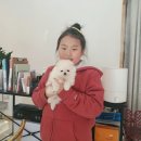 개츠비유치원&호텔 네이버블로그