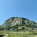 베어포레스트 스테이 이미지