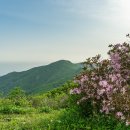 연두목장 이미지