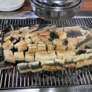 도림장어 이미지