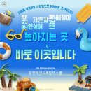 동영태권도 이미지