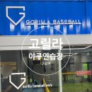 서울 도심 한복판 주차 가능한 야구 배팅장, 구로 고릴라야구연습장 방문후기