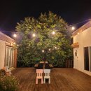 핸즈 인 제주 이미지