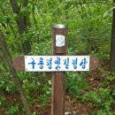 구룡령 옛길 이미지