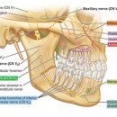본큐어한의원 이미지