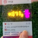 여기;봄 이미지