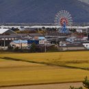 충의공원(충혼탑) 티스토리
