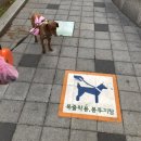 보람어린이공원 이미지