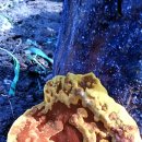 태희농장 이미지