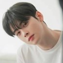 (주)비리프 | ✂️ 이번 주 교육 후기 — 리프컷 & 시스루 댄디컷 🌿