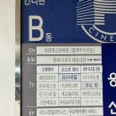 헌혈의집 사은품 영화 1+1 예매하기, 롯데시네마 해운대 장산점 리클라이너 후기