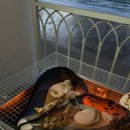 모항항편의점 이미지