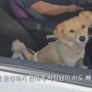 스피드메이트 자양점 이미지