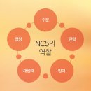 [3/6] 스마트스토어 기초 소수정예 | 재생에센스 추천 피부관리에 탁월한 장스팜스 NC5 밍크오일 사용 후기