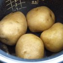 감자조림 이미지