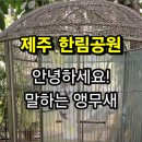 한림공원[동] 네이버블로그