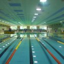 단양청소년수련관 수영장 이미지