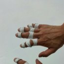 유성체육관 이미지