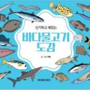 언더더씨