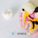 전주예치과의원 이미지