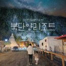 새한농장 | 단양 북단양리조트 펜션 글램핑 카라반 놀거리 체험 가득