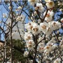 연옥민박 이미지