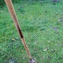 상무형제카 이미지