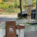 해동세탁소 | 대전 빵지순례 리스트 추가요..도안동 빵집 꾸꾸