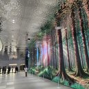 포레스트문 이미지