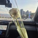 부자정식 | 양평 서종면 한정식 맛집 부자네푸줏간 부자네정식 솔직후기