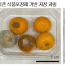 하나환경개발 이미지