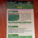 마홀수영장 이미지