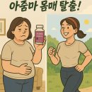 요즘 대세 소포리코사이드 효능! 갱년기 중년다이어트 보조제 플로라필