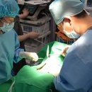 24시 해든동물의료센터 민락점 이미지