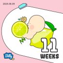 양수하나로약국 | 임신 초기 10-11주차 운동 식단 입덧 먹덧, 쏘렌토 MQ4 하이브리드 고장 이슈