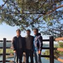 대미초등학교 이미지