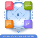 흐를류한의원 네이버블로그