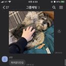 복래찬합 이미지