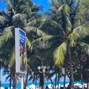 베트남식당 | 나트랑 3월 여행 베트남 나트랑 목 식당 예약 후기!!