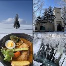 흰등 | 삿포로 비에이 버스투어 1월 후기 탁신관 크리스마스트리 흰수염폭포