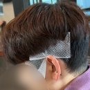 벤자민 | 배곧 미용실 남자 다운펌 벤자민 살롱 후기