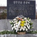 상북농협 하나로마트 네이버블로그