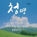 청명 이미지