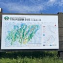 다음매일투어/산악회