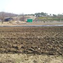 안방농장 이미지