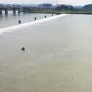 신평동1007 이미지