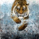 ㈜우호건설 이미지