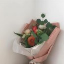 코랄(coral)