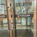 [동백꽃집] 모노플라워 :: 용인 동백 가성비 좋은 꽃집 추천 파스텔톤 꽃다발 후기