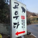 가평 청평 벚꽃길 드라이브 | 북한강뷰 맛집까지 완벽코스, 고우다
